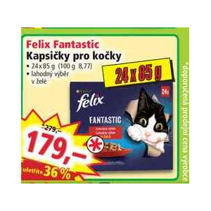 ARCHIV Felix Fantastic Kapsičky pro kočky 24x85 g v akci platné do