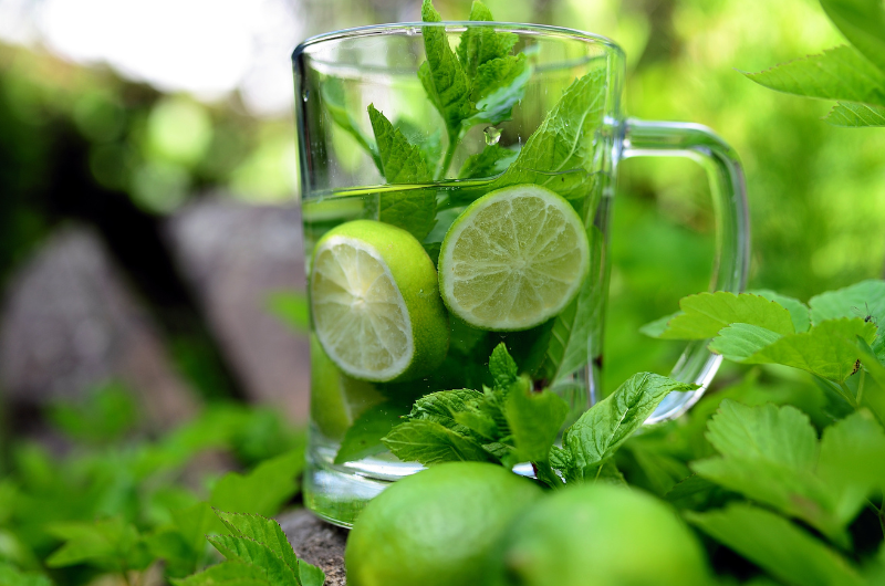 máta drink