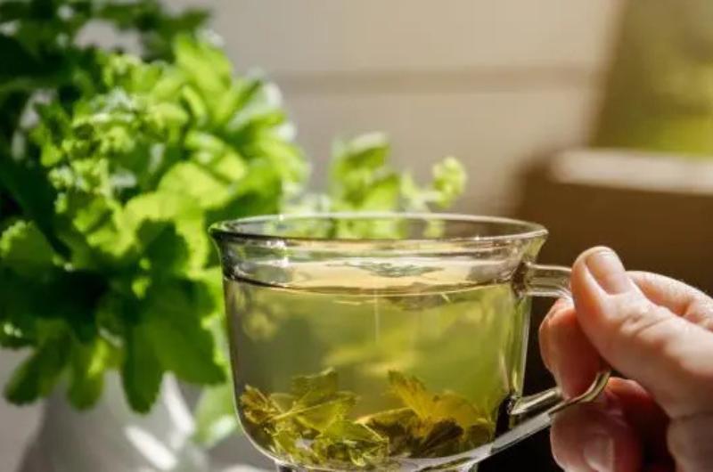 Trápí vás oteklé nohy? Vyzkoušejte petrželový čaj – silný přírodní odvodňovač bez chemie