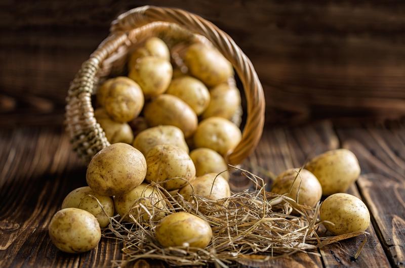 Brambory do lednice nepatří. Tady je důvod, proč tím můžete zničit jejich chuť i kvalitu