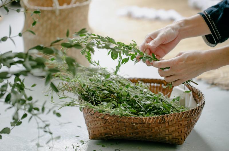 Bylinky na snížení krevního tlaku: Těchto 7 chutných zázraků musíte zkusit