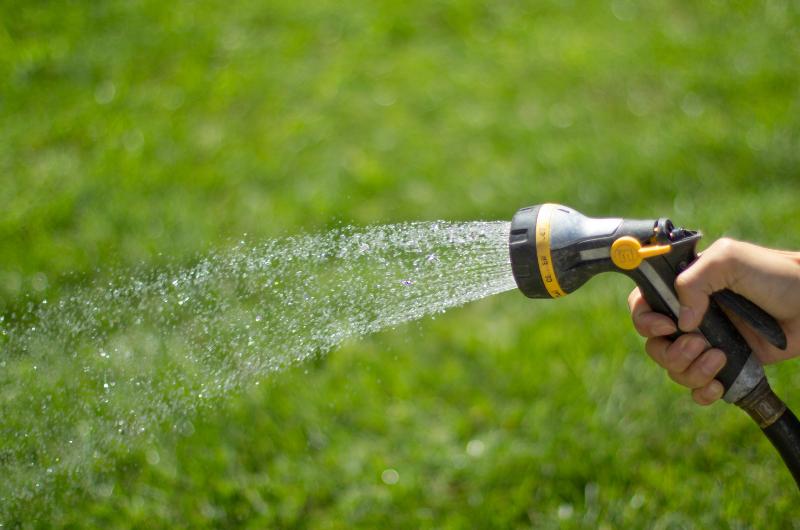 Zálivka a sečení trávníku v létě: Kdy je to bezpečné a kdy rostlinám škodíte?