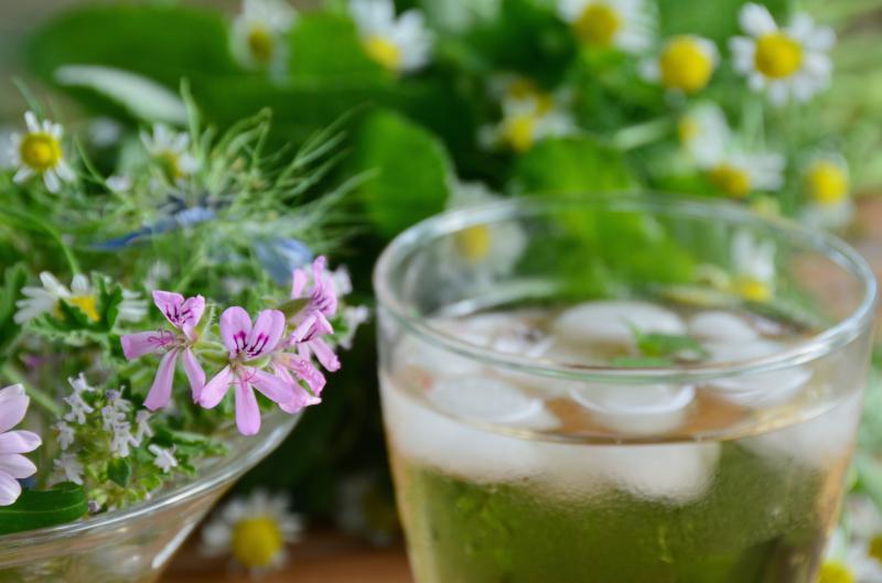 Zapomeňte na větrák: Tyto bylinky ochladí vaše tělo přirozeně