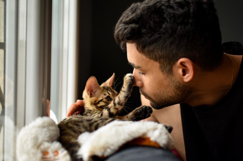 9 překvapivých signálů, které dokazují, že vás vaše kočka miluje víc, než si myslíte