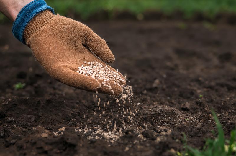Březen na zahradě rozhoduje o celé úrodě. Tohle teď nesmíte podcenit