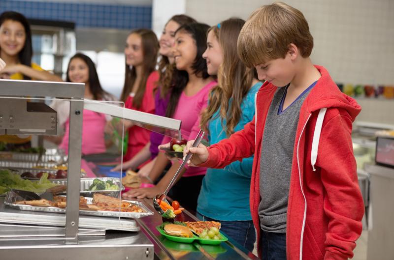 Plíseň, špatné skladování i studené jídlo: Hygienici odhalili problémy ve školních jídelnách