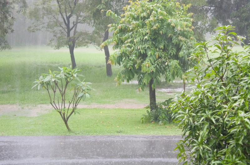 Meteorologové varují: Jedna noc může zničit rajčata i úrodu. Mráz se vrací nečekaně rychle