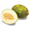 Meloun Piel de Sapo 1 kg
