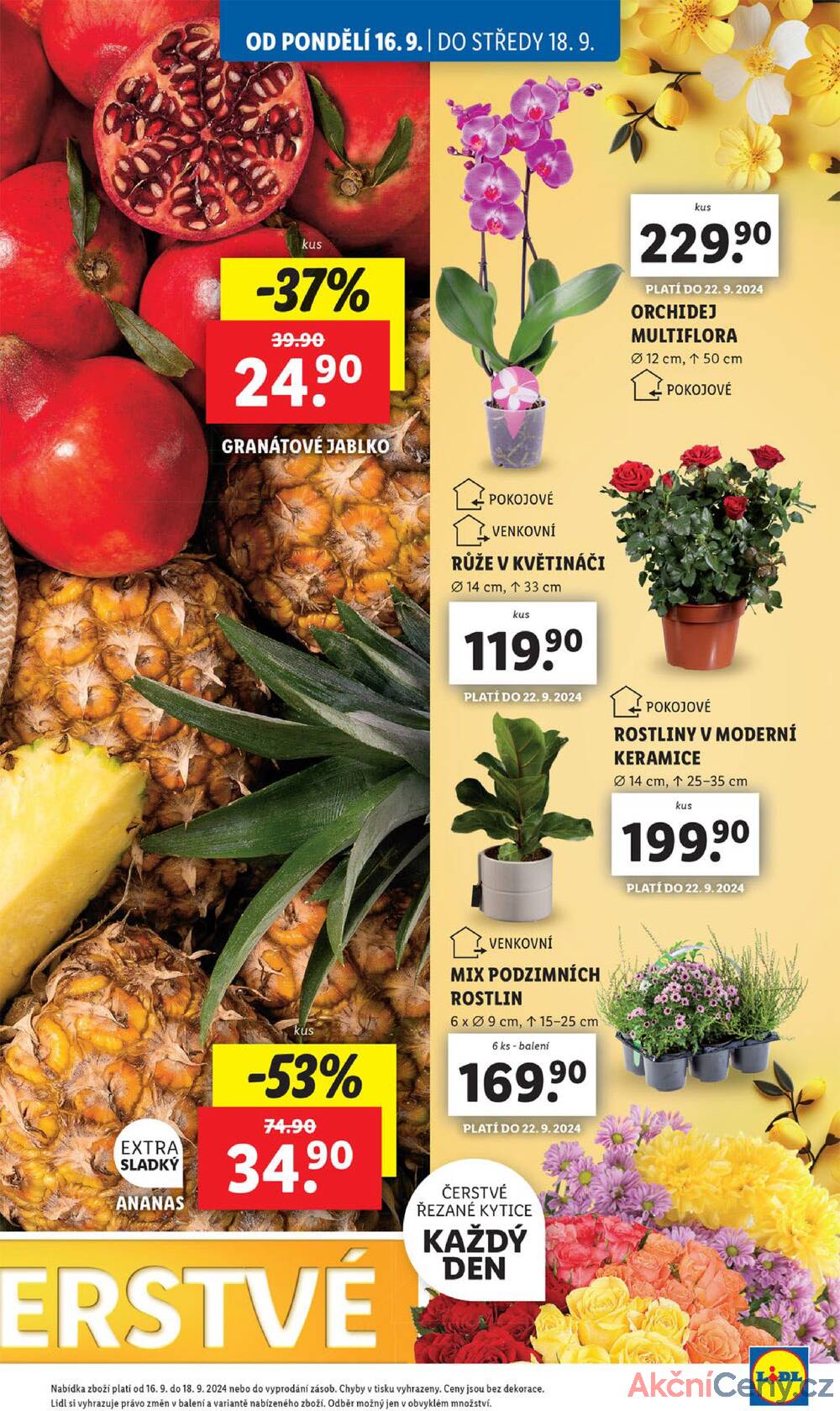 Leták Lidl - Lidl od 16.9. do 22.9.2024 - strana 11