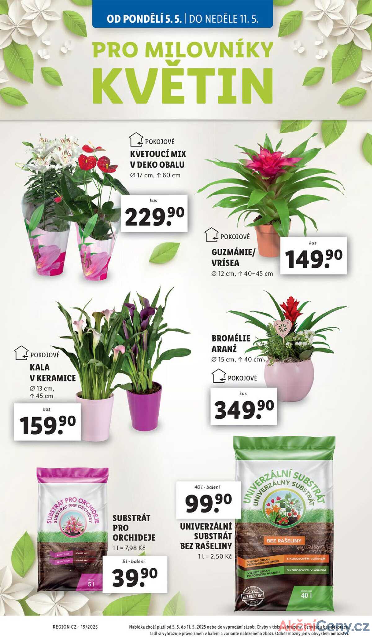 Lidl od 5.5. do 11.5.2025 strana 33