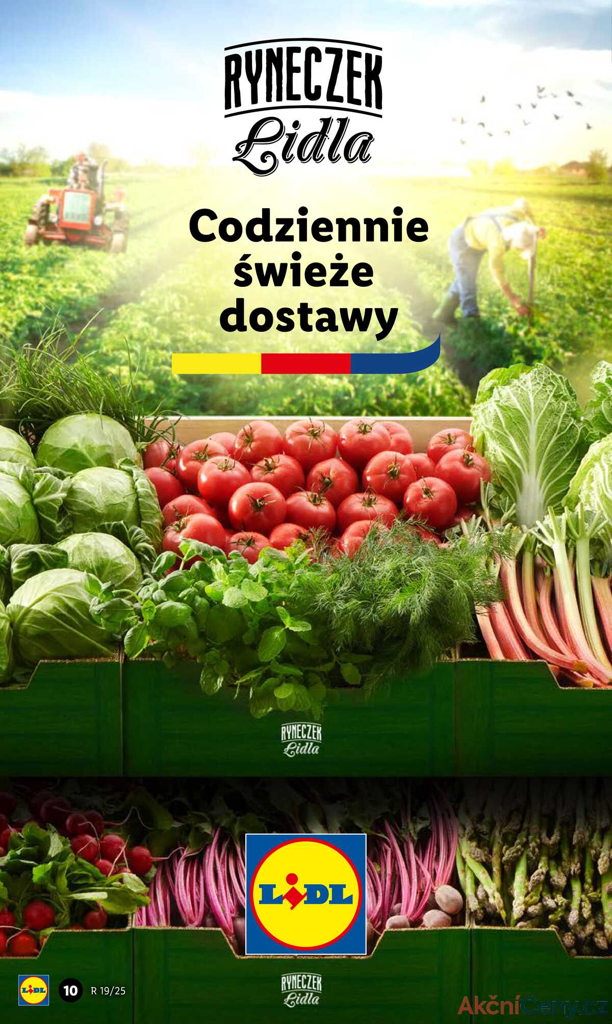 Leták Lidl Polsko 5.5.-7.5.2025 strana 12