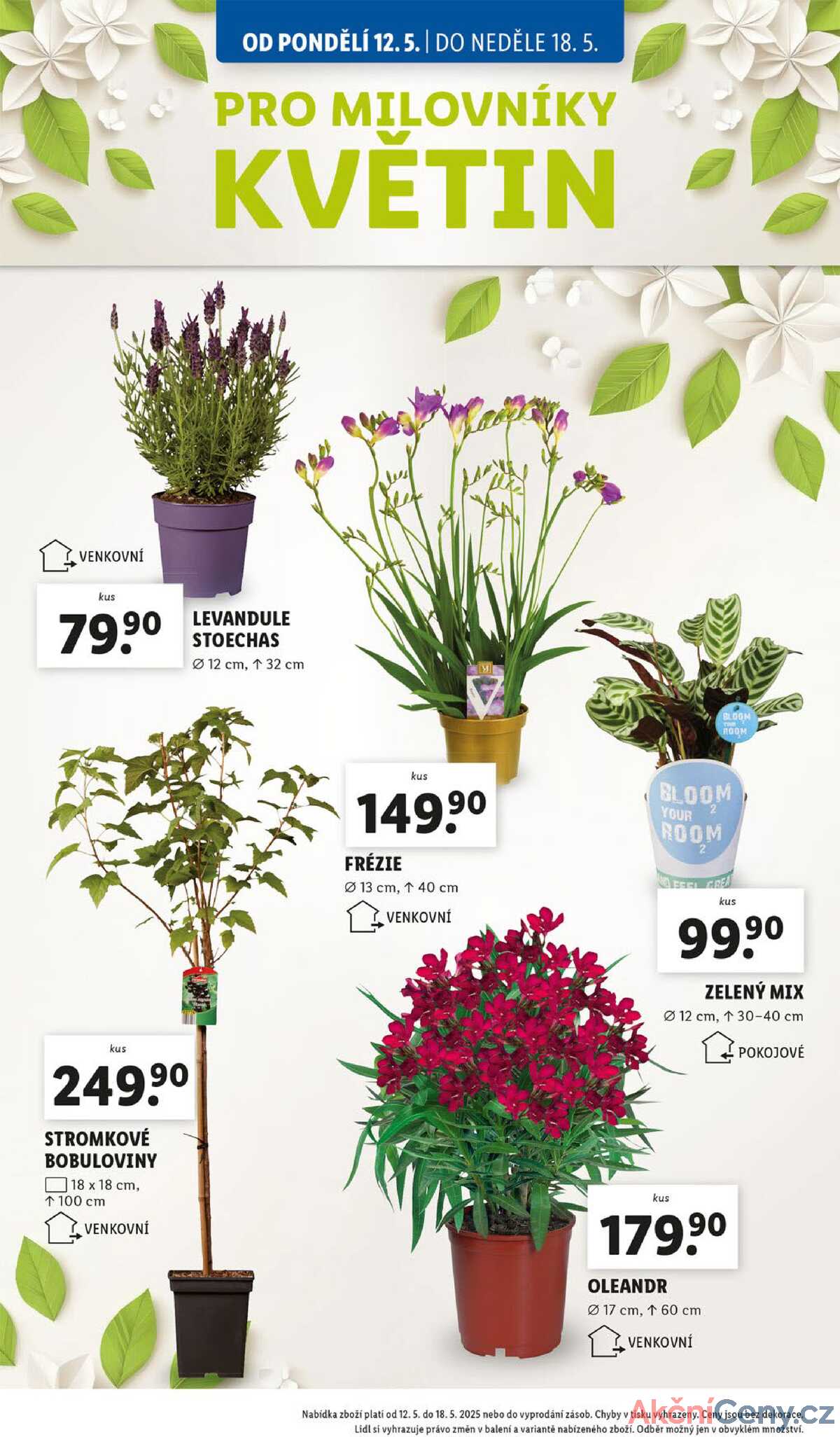 Lidl od 12.5. do 18.5.2025 strana 29