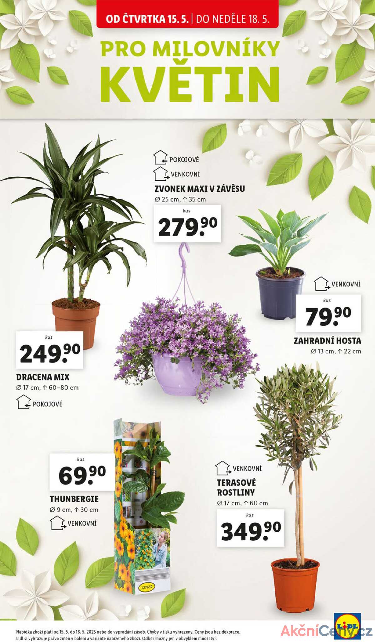 Lidl Čtvrtek od 15.5. do 18.5.2025 strana 25