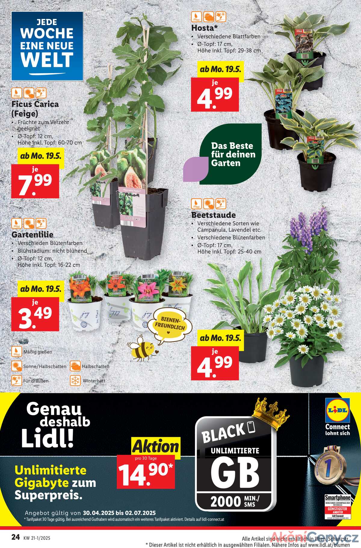 Leták Lidl Rakousko 15.5.-21.5.2025 strana 26