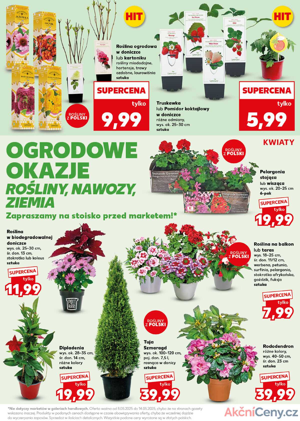 Leták Kaufland Polsko 12.5.-14.5.2025 - Silný start strana 19