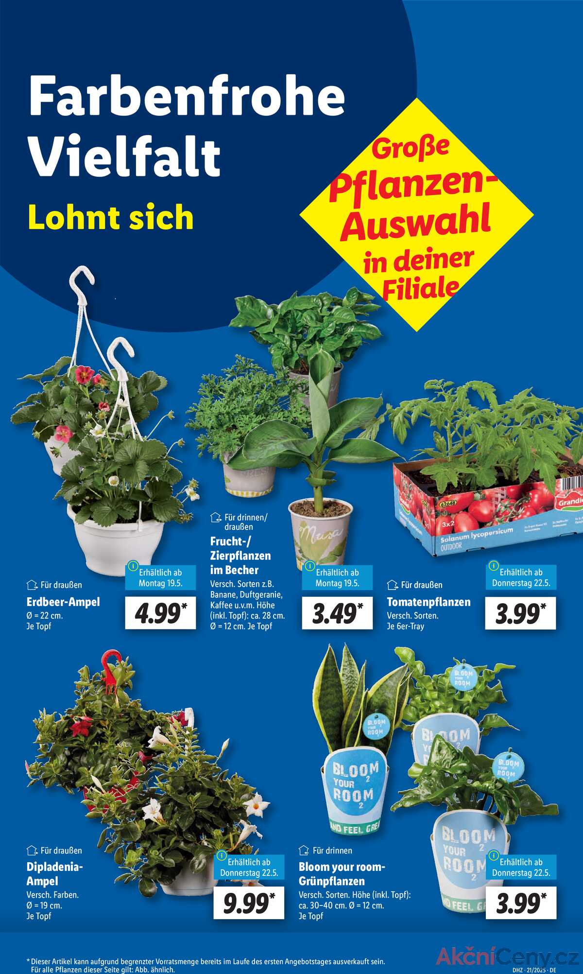 Leták Lidl Německo 19.5.-24.5.2025 strana 5