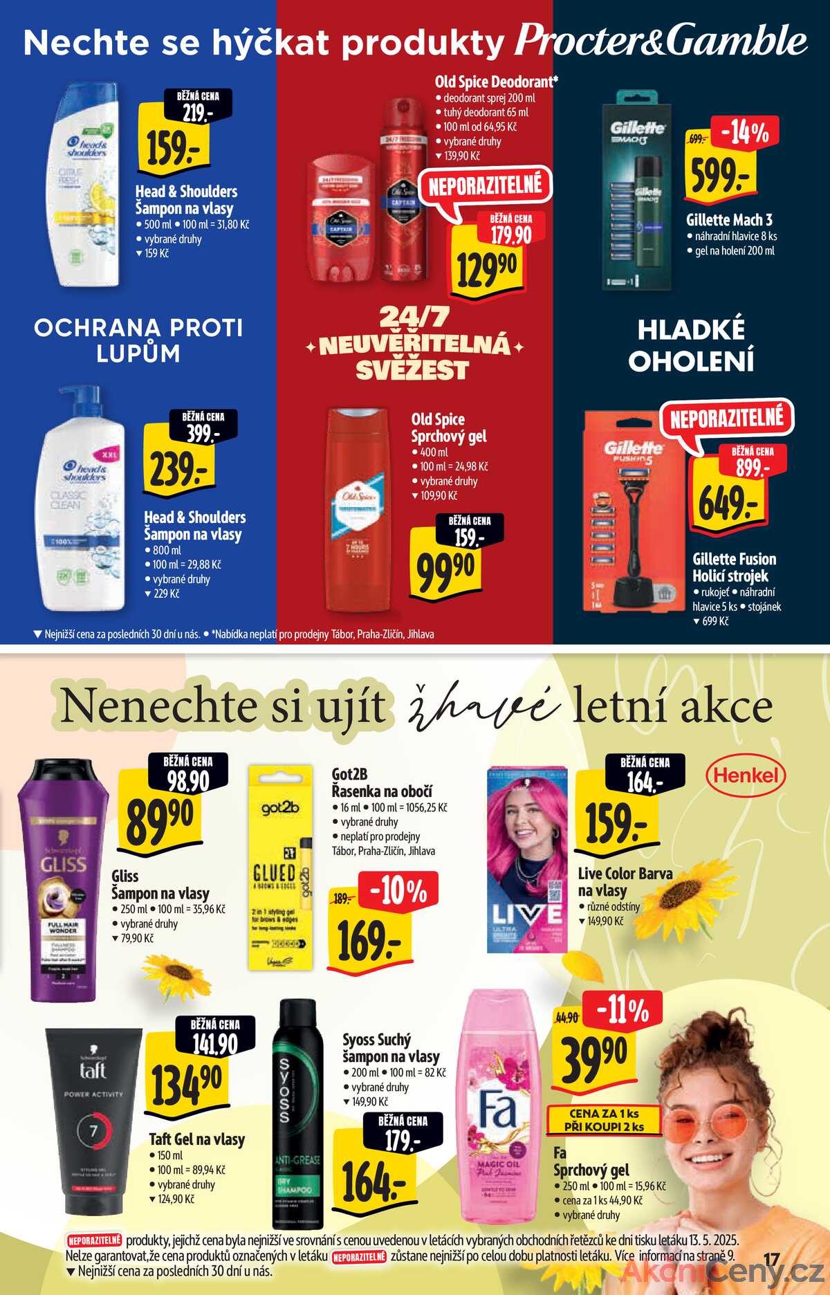Albert  Hypermarket katalog Léto od 21.5. do 3.6.2025 strana 17