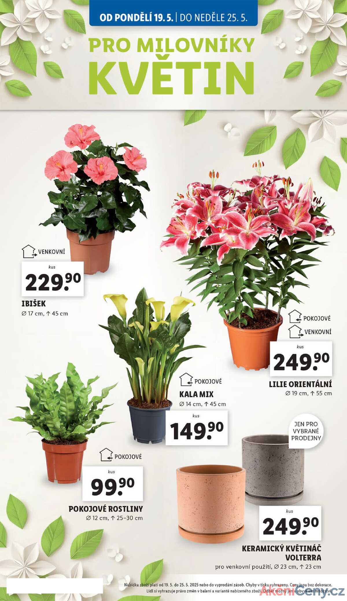 Lidl od 19.5. do 25.5.2025 strana 28