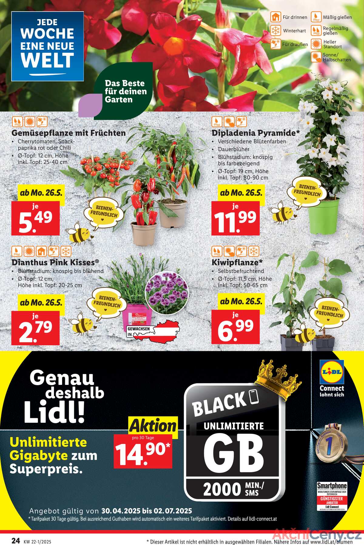 Leták Lidl Rakousko 22.5.-27.5.2025 strana 26