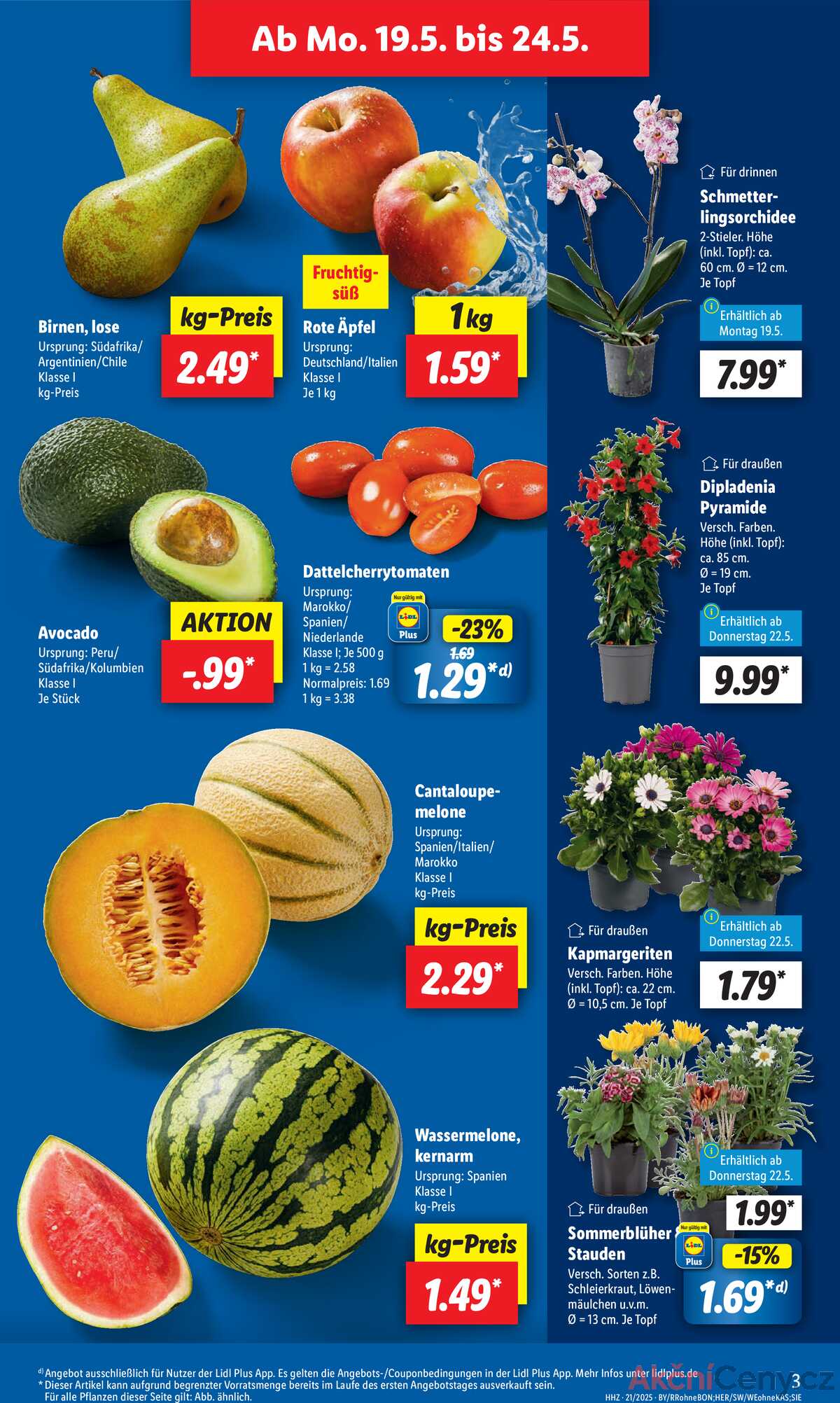 Leták Lidl Německo 19.5.-24.5.2025 strana 3