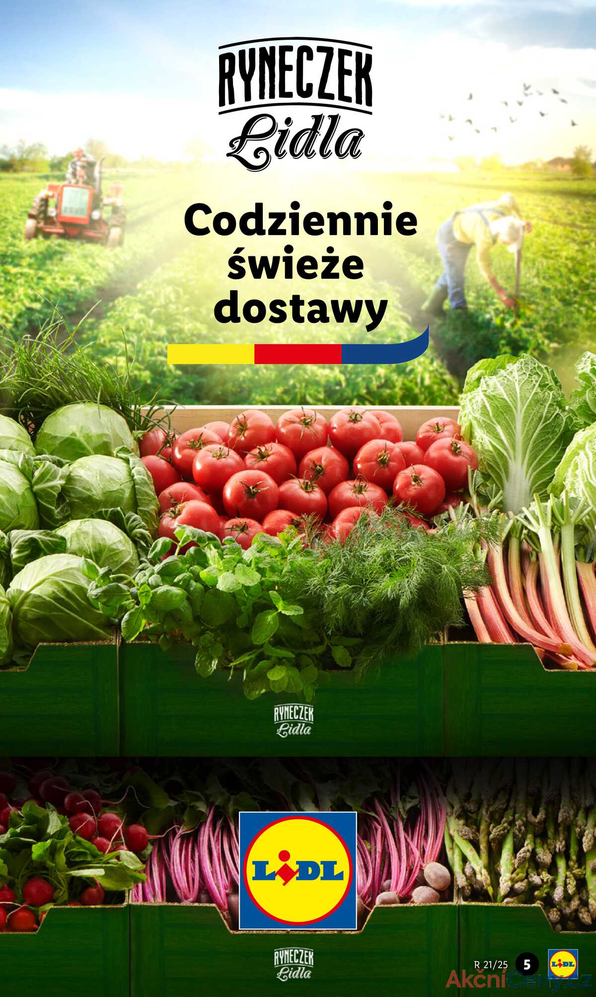 Leták Lidl Polsko 19.5.-21.5.2025 strana 5