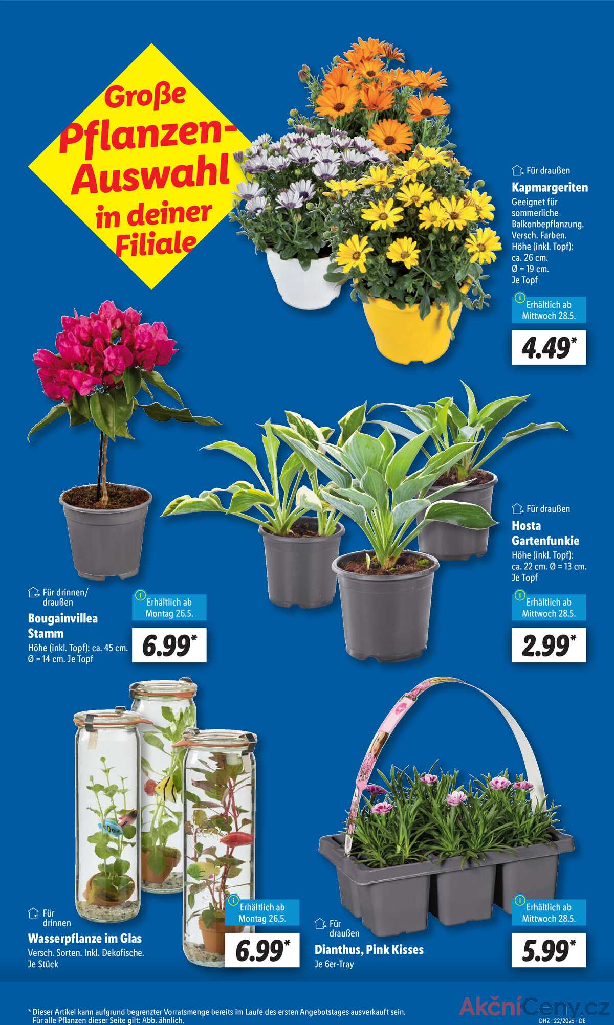 Leták Lidl Německo 26.5.-31.5.2025 strana 7