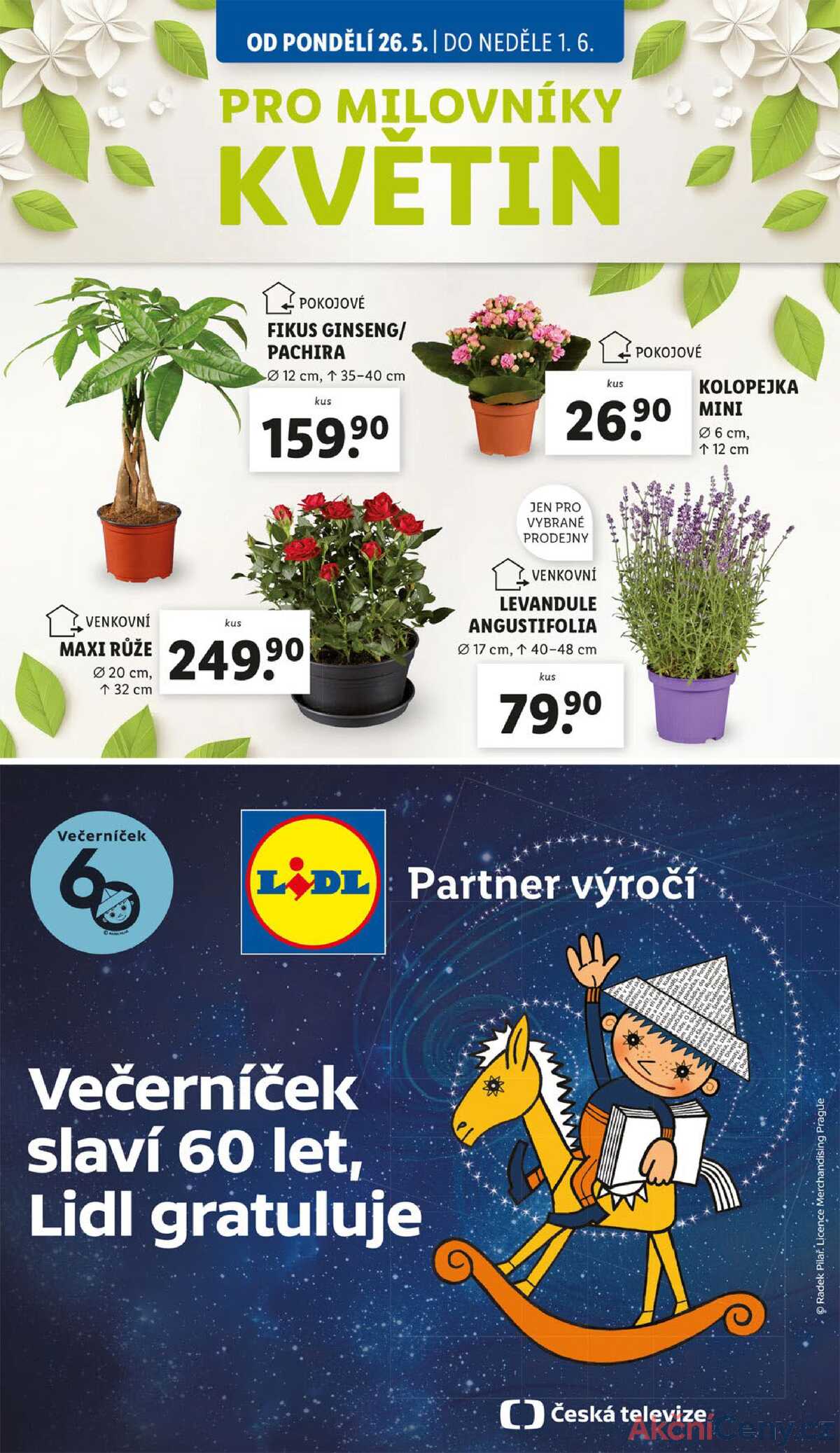 Lidl od 26.5. do 1.6.2025 strana 35