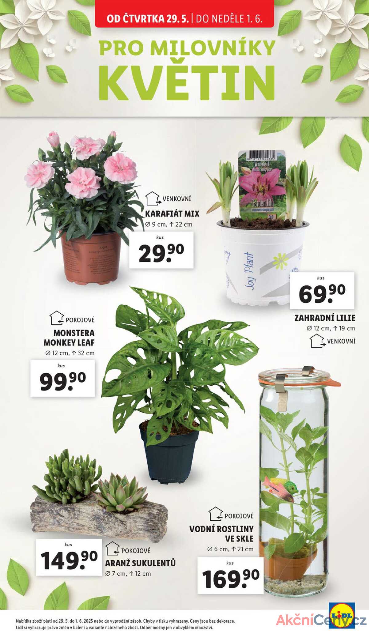 Lidl Čtvrtek od 26.5. do 1.6.2025 strana 37