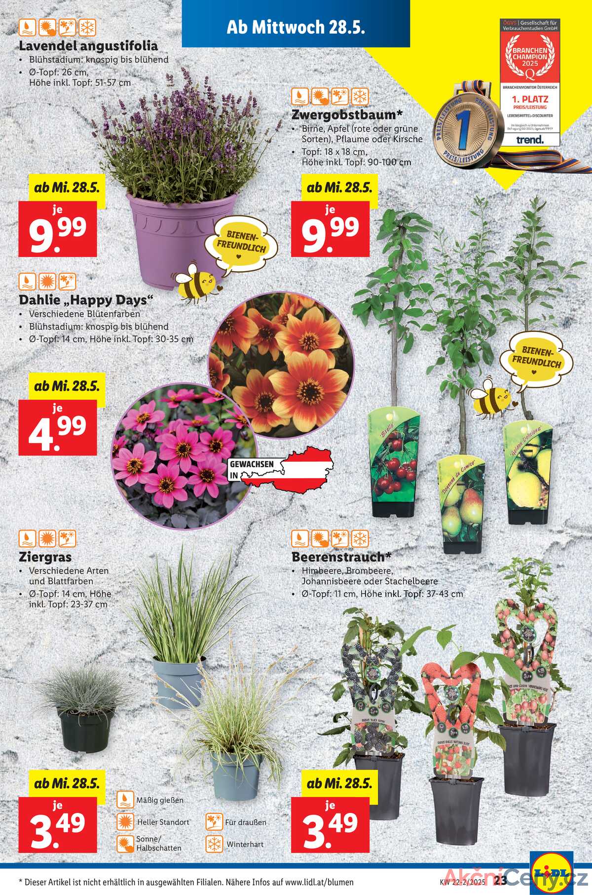 Leták Lidl Rakousko 28.5.-4.6.2025 strana 27