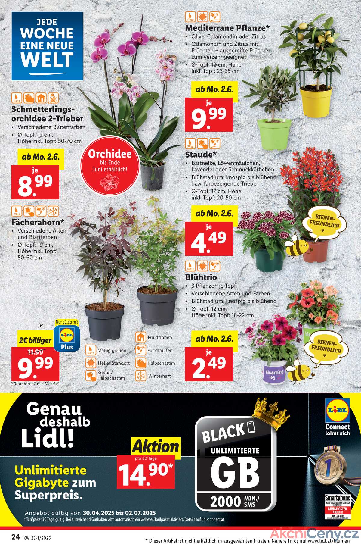 Leták Lidl Rakousko 28.5.-4.6.2025 strana 30
