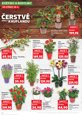 Kaufland 28.5. - 3.6. - Kaufland - Brno - Slatina