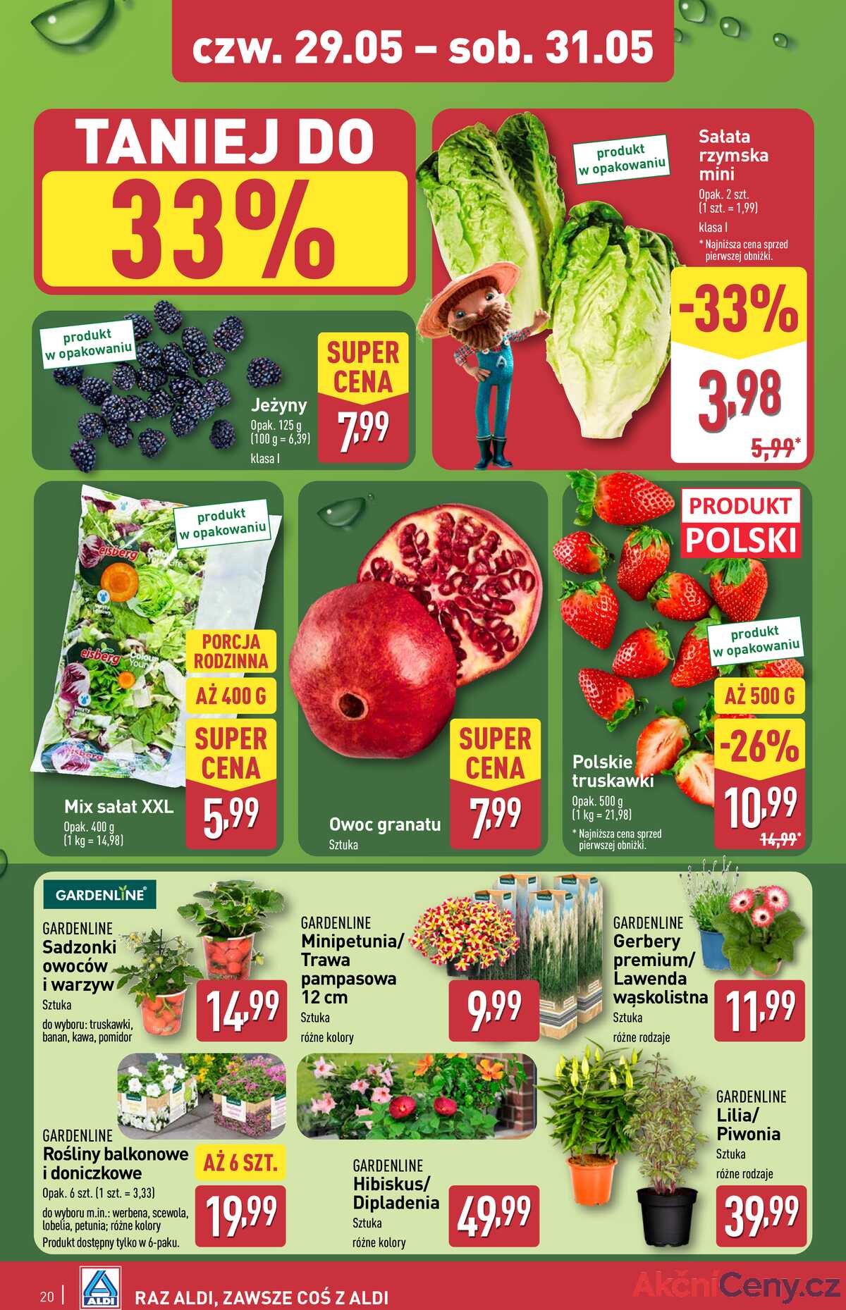 Leták Aldi Polsko 29.5.-31.5.2025 - Víkendová nabídka strana 4