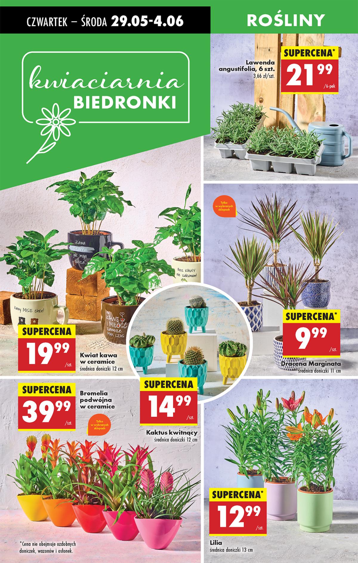 Leták Biedronka Polsko 29.5.-4.6.2025 strana 23