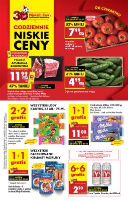 Biedronka Polsko (Polska) letáky