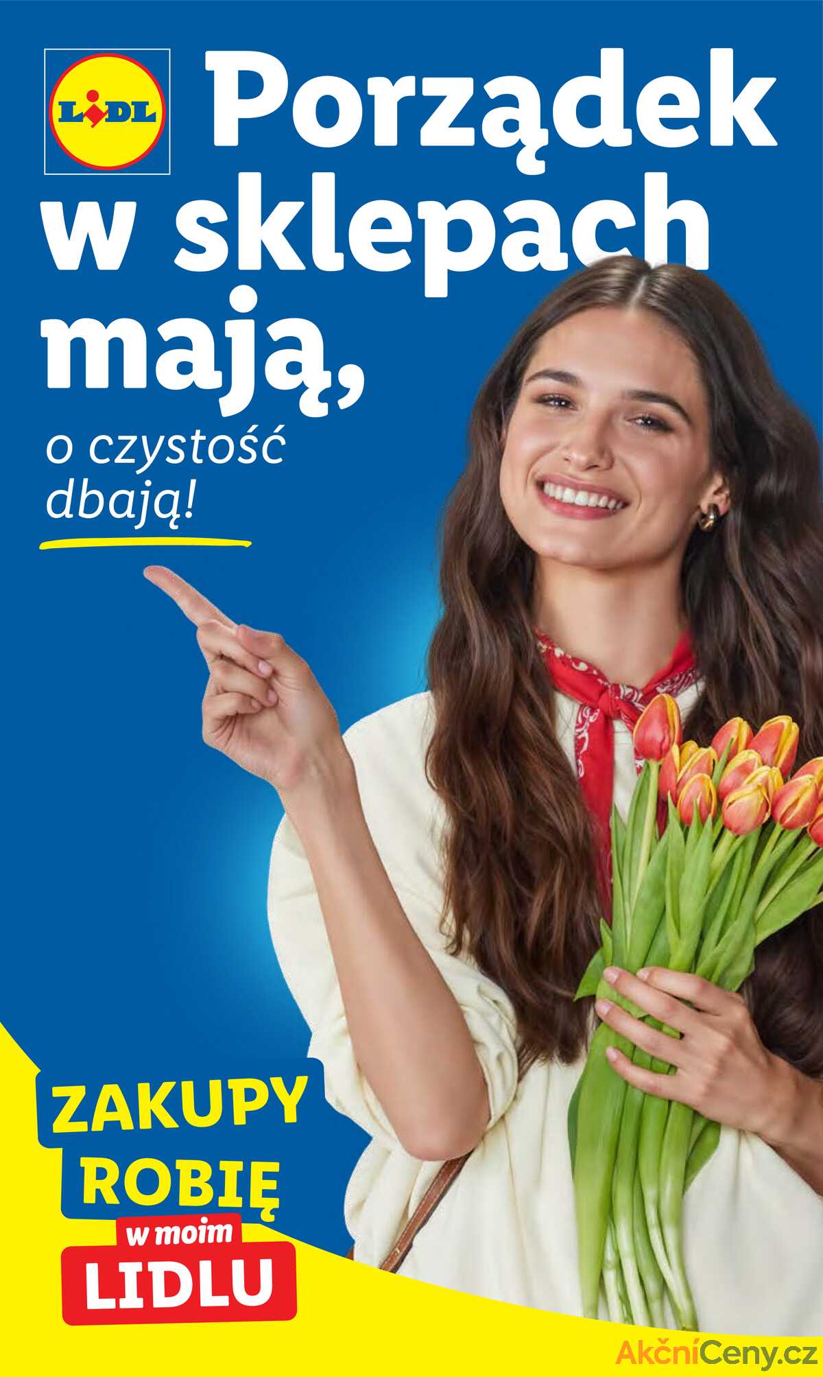 Katalog Lidl Polsko 9.6.-14.6.2025 strana 36