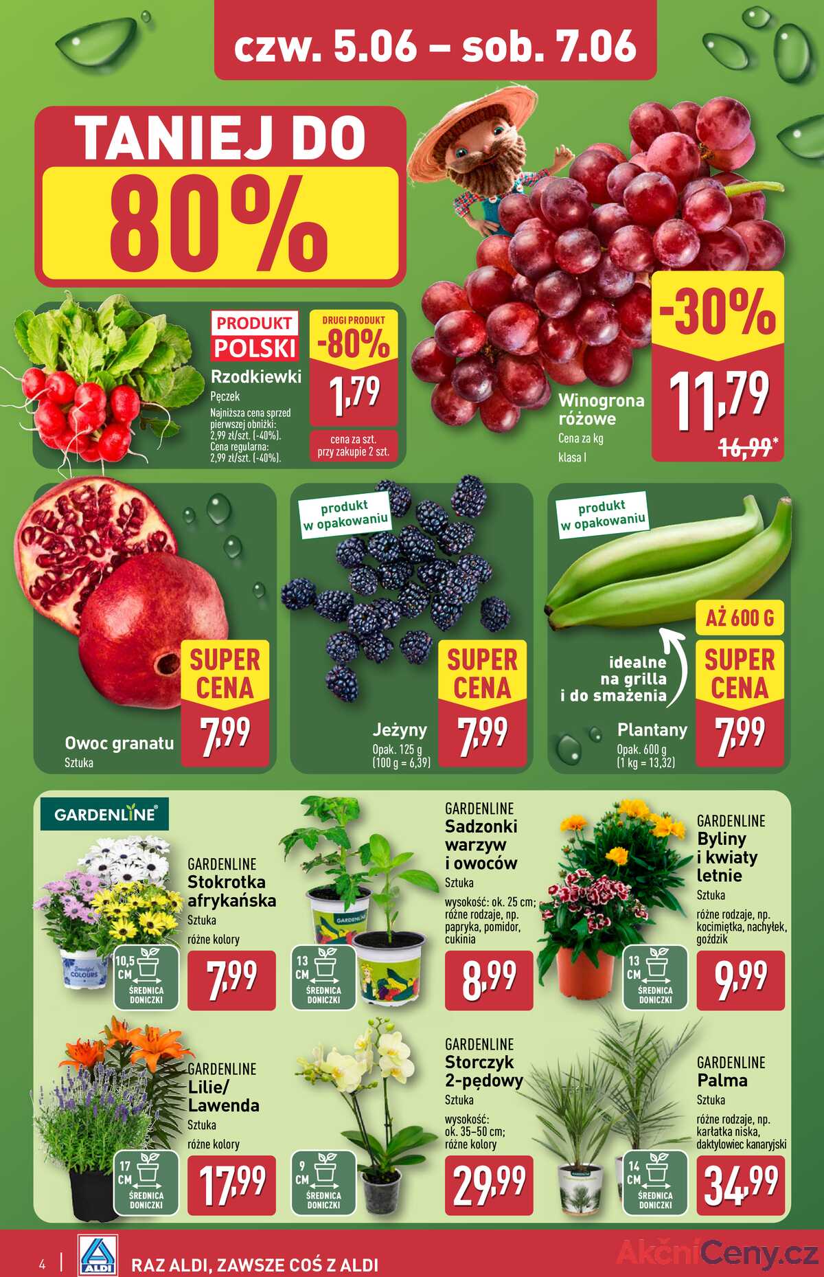Leták Aldi Polsko 5.6.-7.6.2025 - Víkendová nabídka strana 4