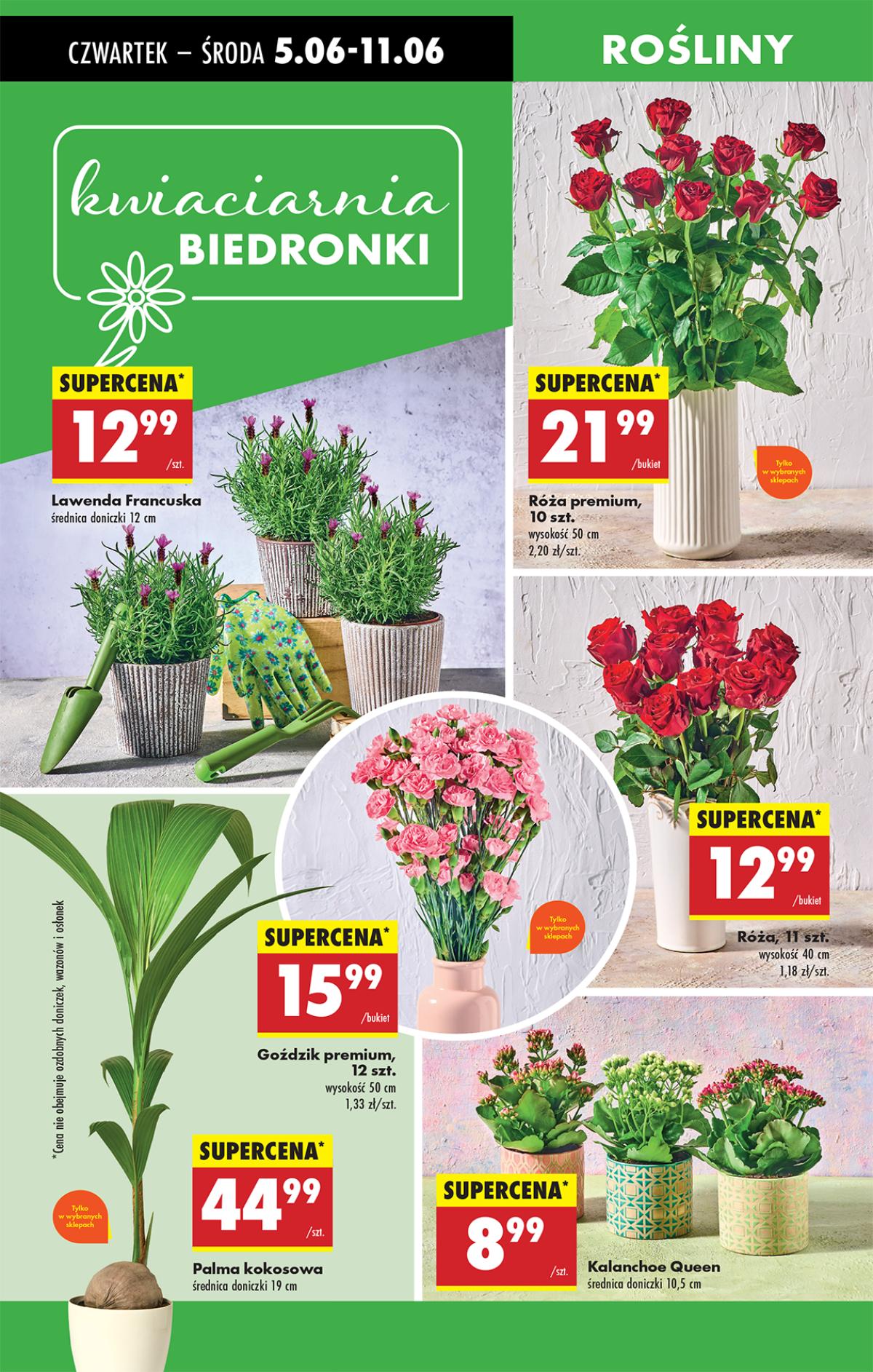 Leták Biedronka Polsko 5.6.-11.6.2025 strana 66