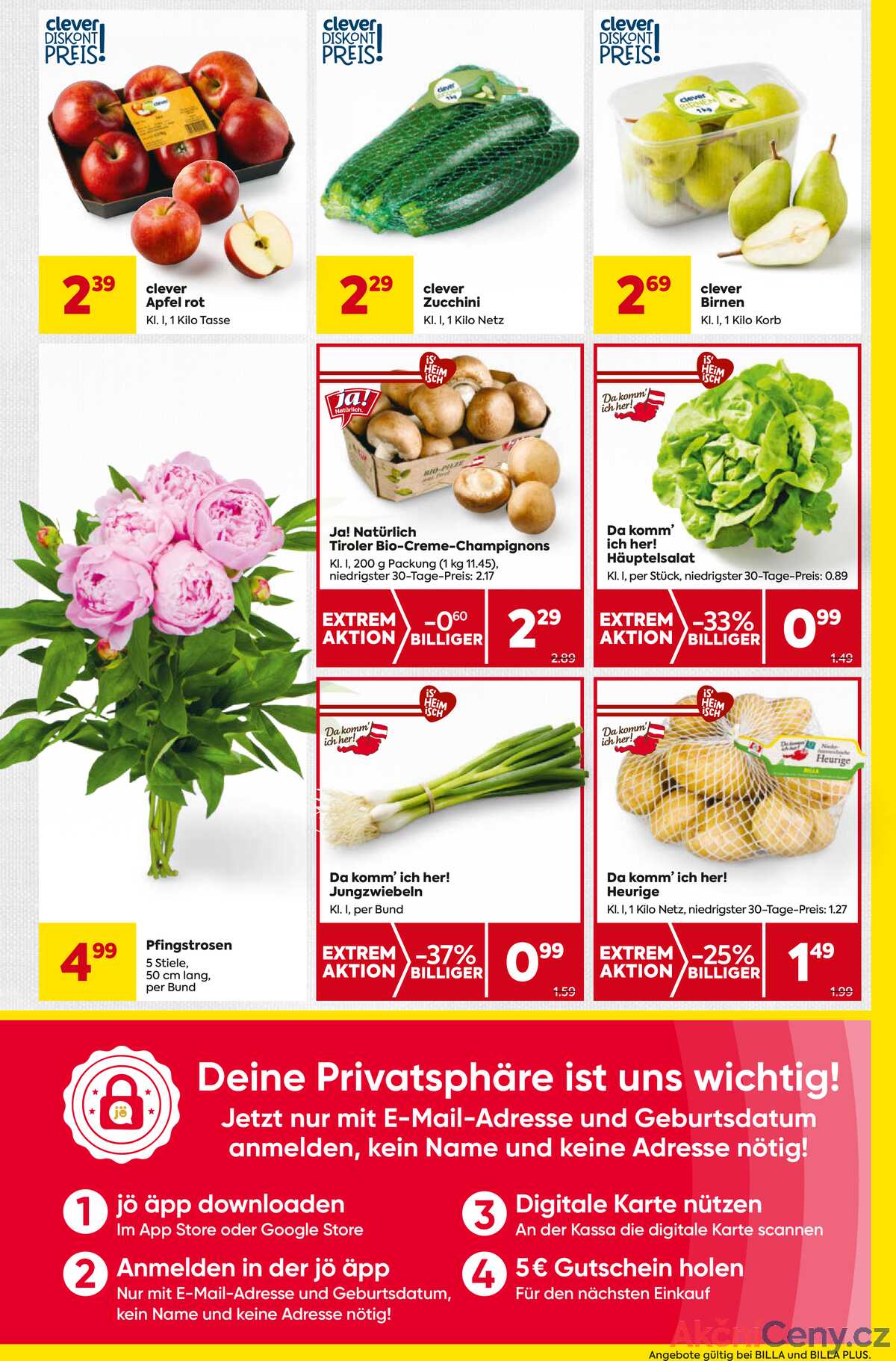 Leták BILLA Rakousko 5.6.-11.6.2025 - BILLA&BILLA PLUS strana 7