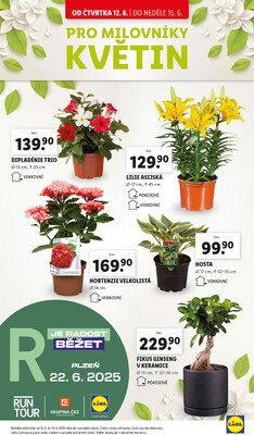 Lidl Čtvrtek od 12.6. do 15.6.2025