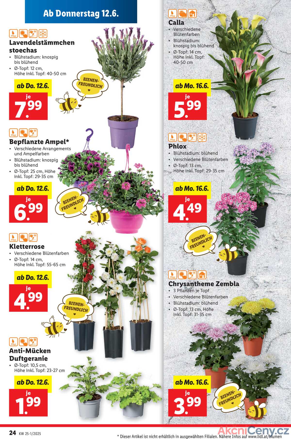 Leták Lidl Rakousko 12.6.-17.6.2025 strana 26