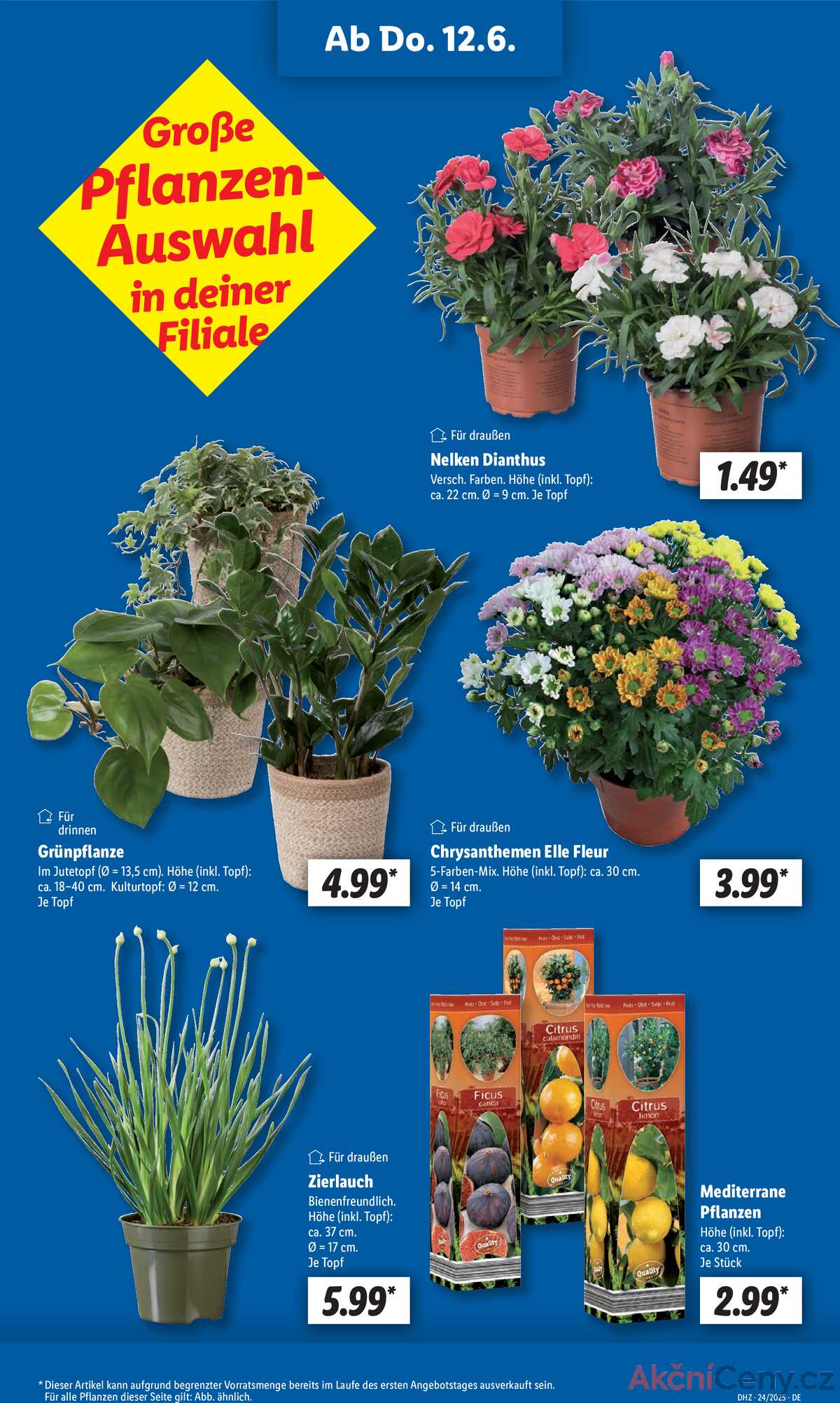 Leták Lidl Německo 10.6.-14.6.2025 strana 9