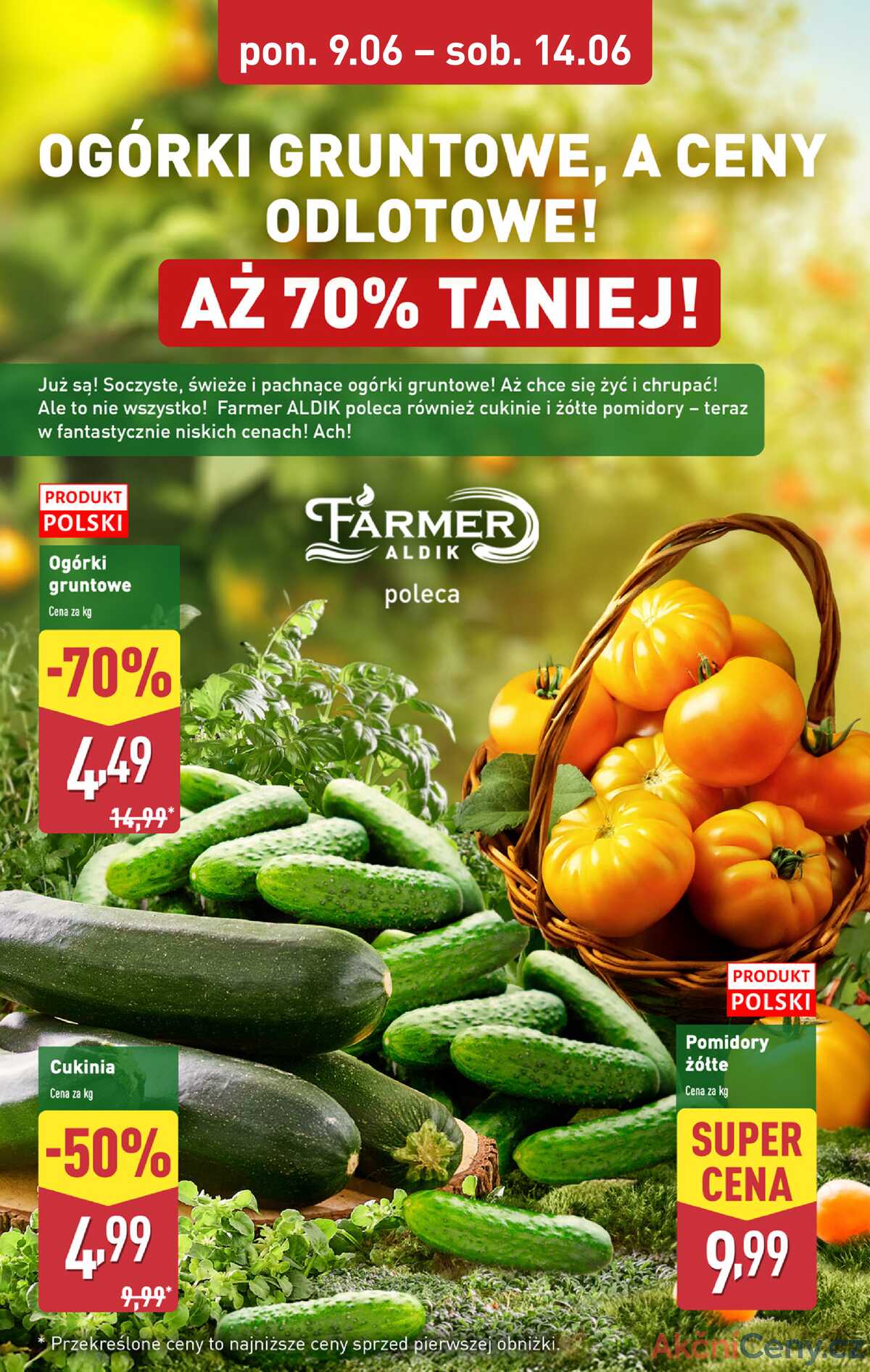 Leták Aldi Polsko 9.6.-14.6.2025 strana 4