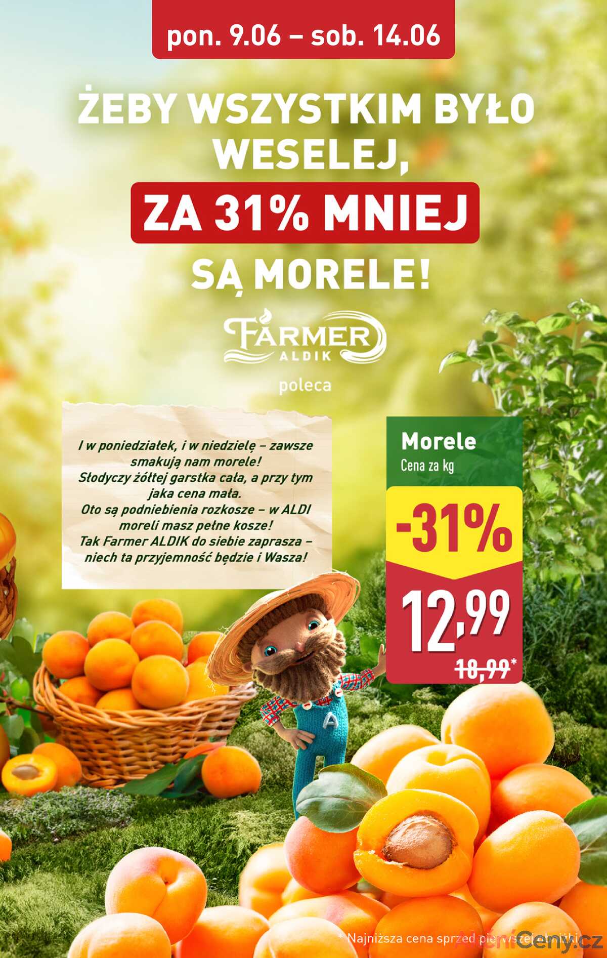 Leták Aldi Polsko 9.6.-14.6.2025 strana 5