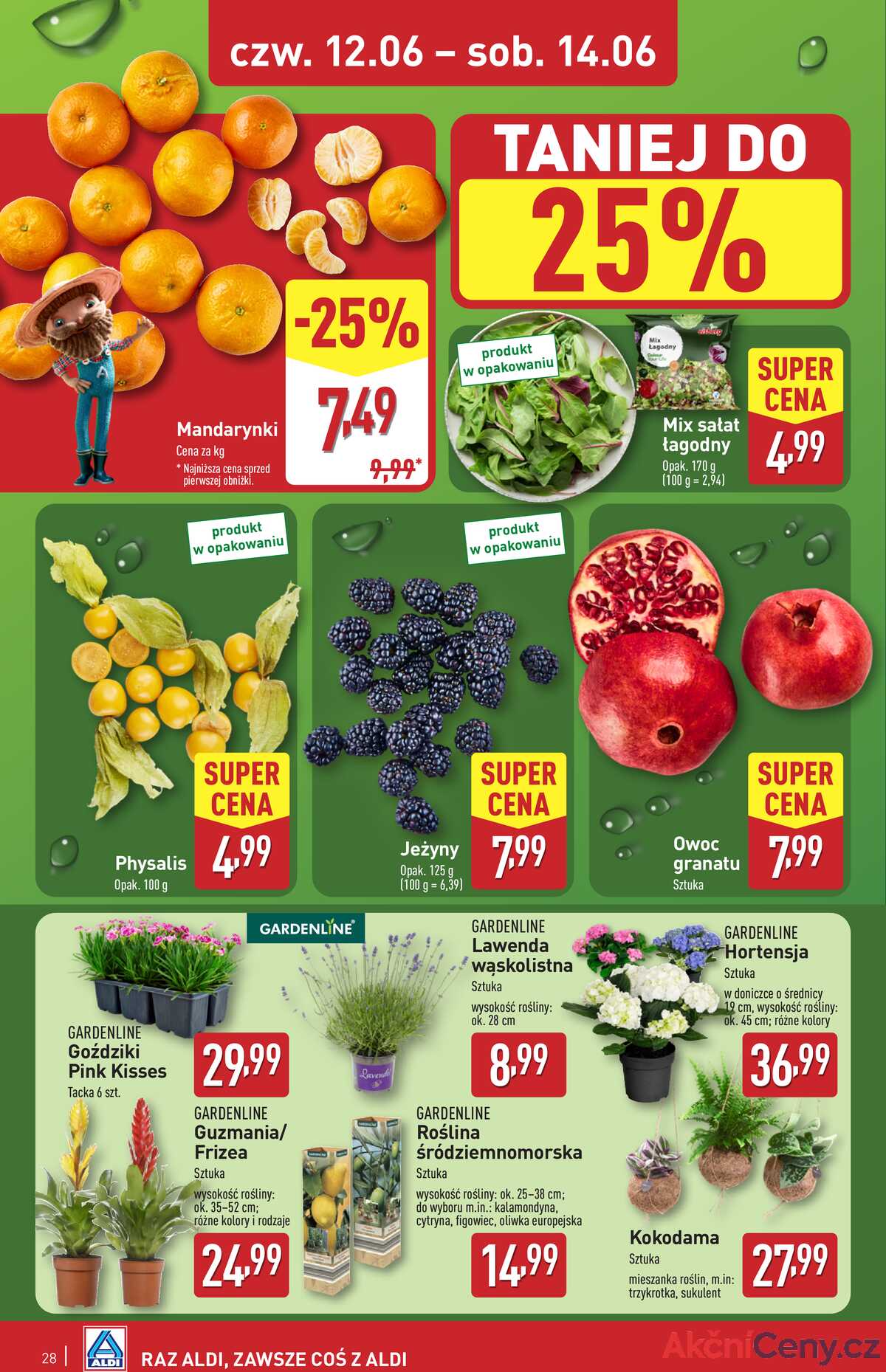 Leták Aldi Polsko 9.6.-14.6.2025 strana 28
