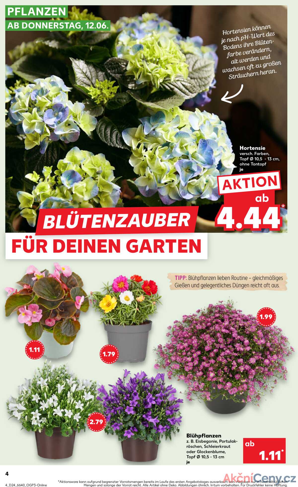 Leták Kaufland Německo 12.6.-18.6.2025 strana 4