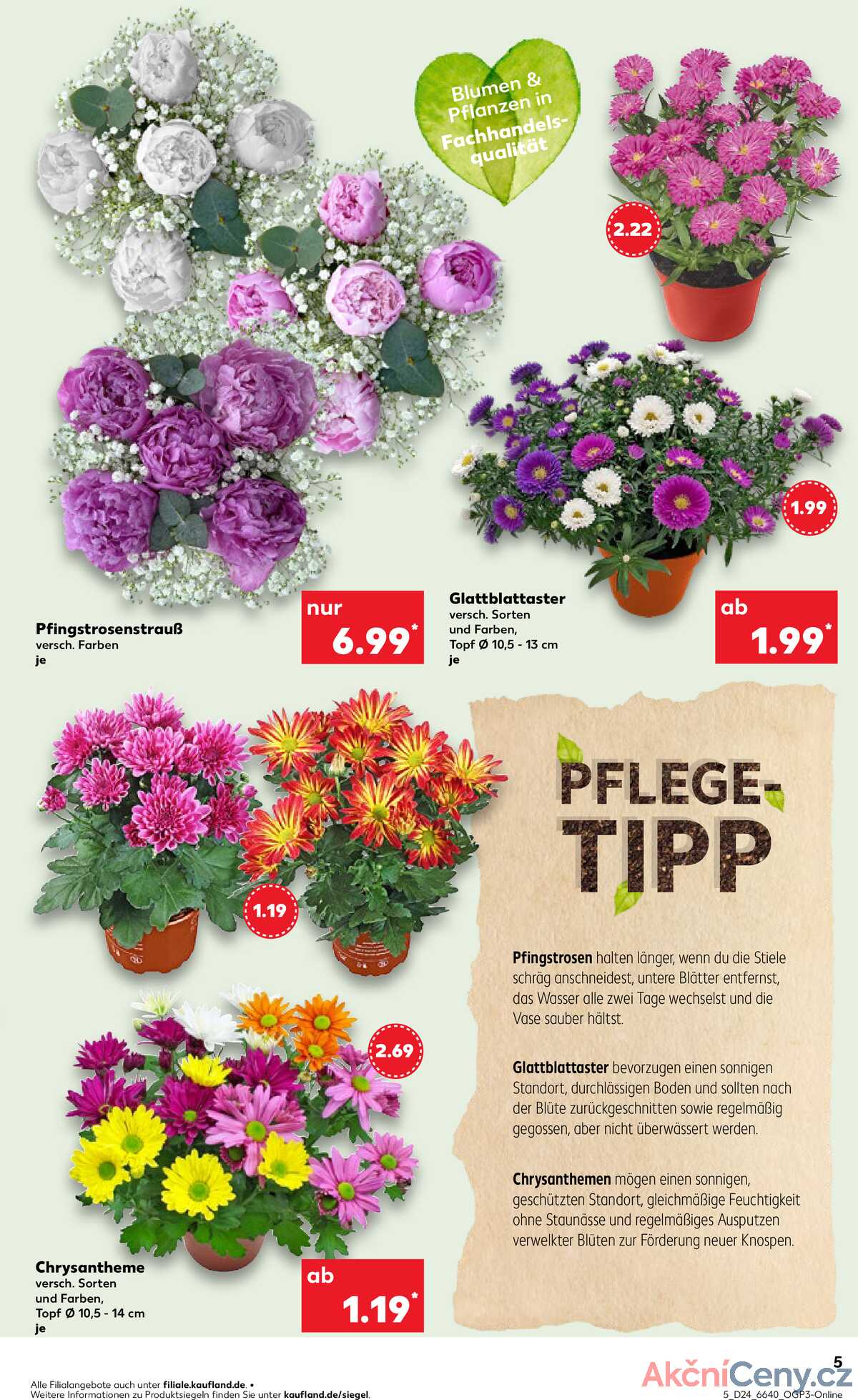 Leták Kaufland Německo 12.6.-18.6.2025 strana 5