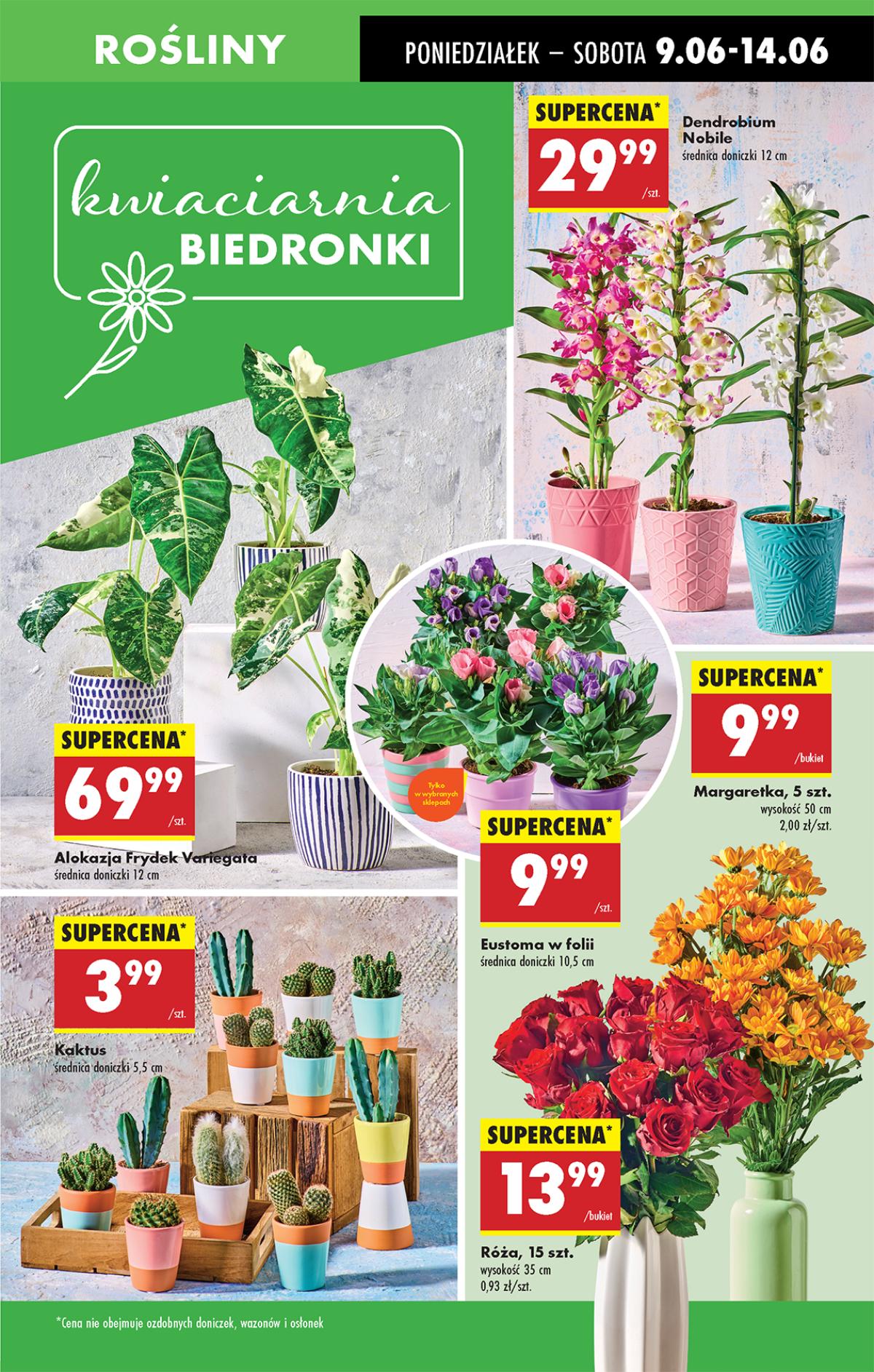 Leták Biedronka Polsko 9.6.-15.6.2025 strana 19