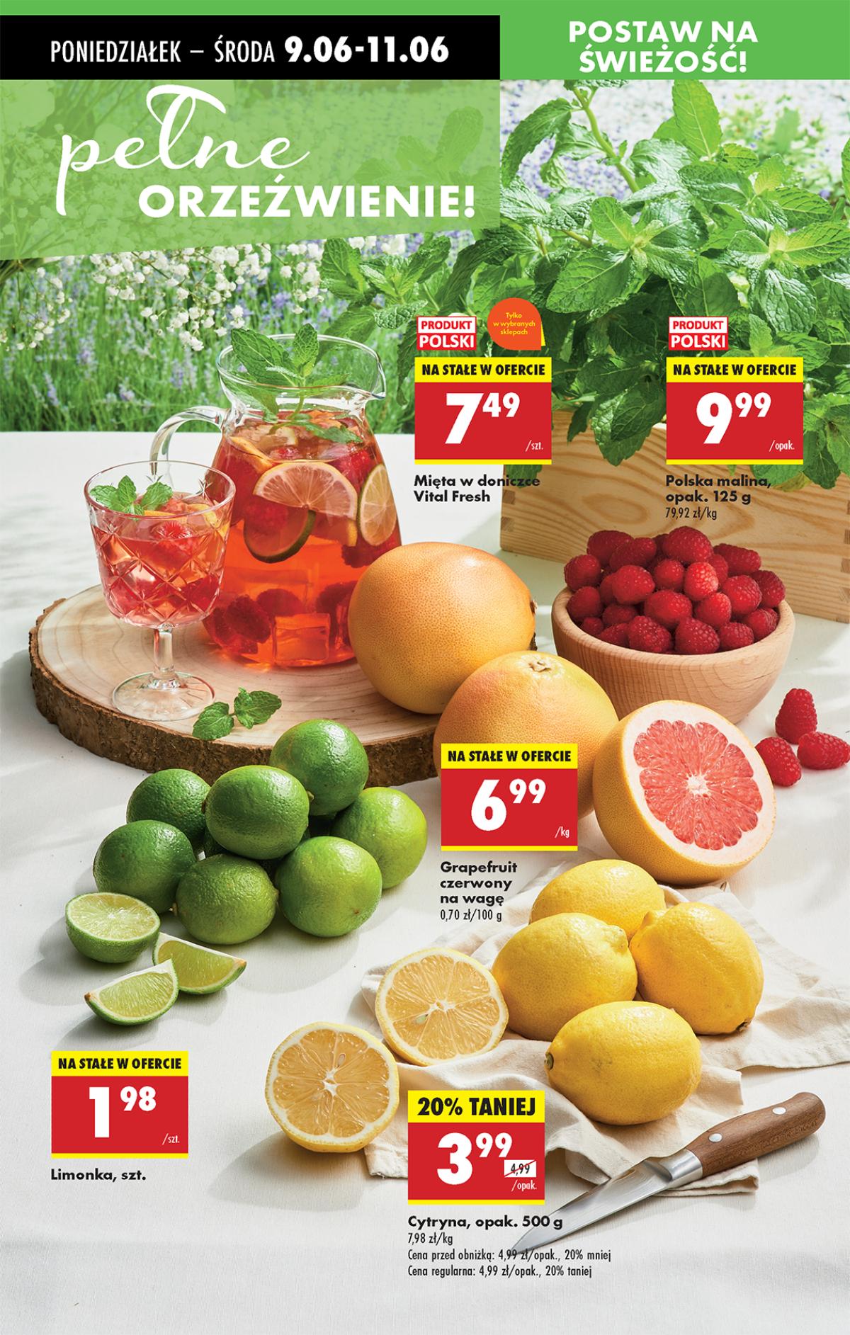 Leták Biedronka Polsko 9.6.-15.6.2025 strana 22