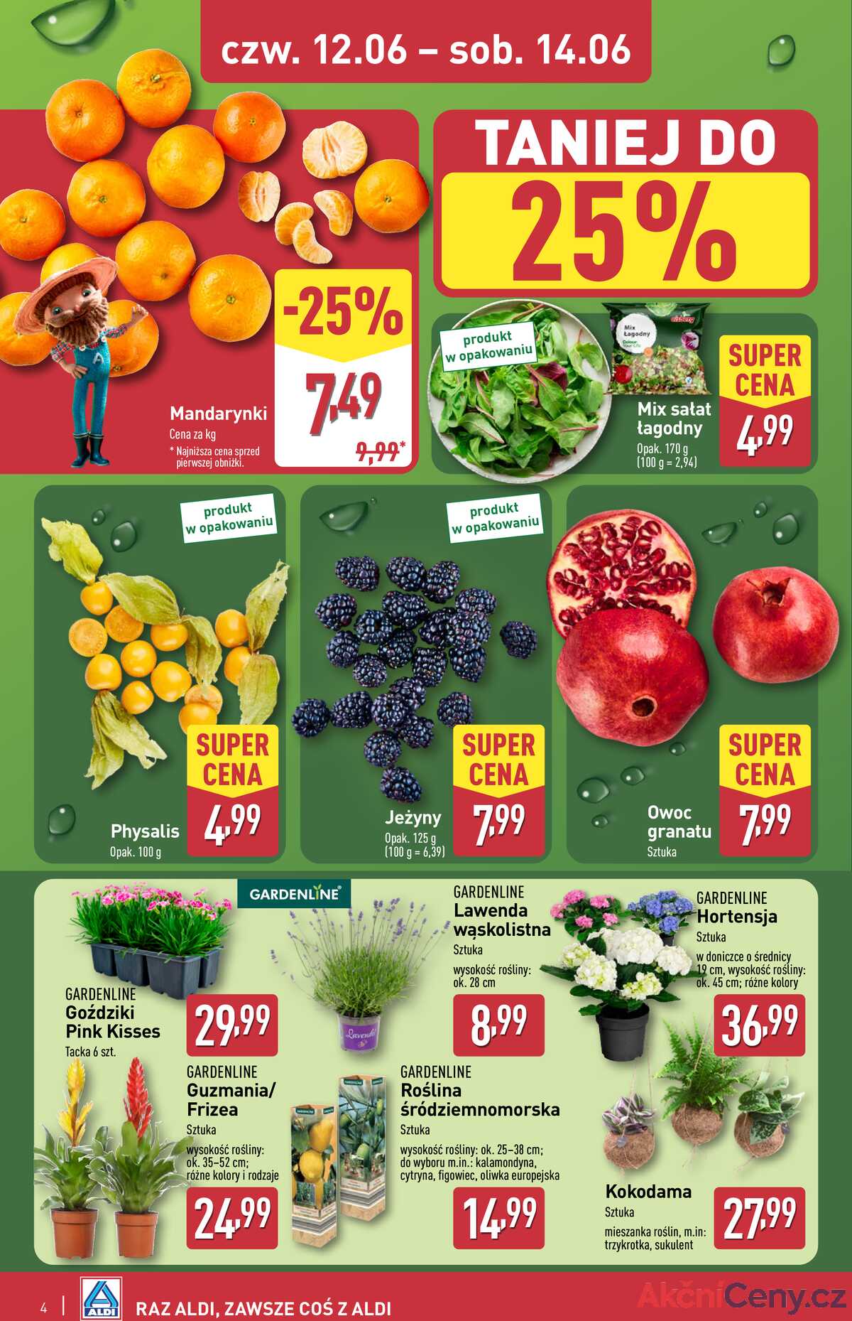 Leták Aldi Polsko 12.6.-14.6.2025 - Víkendová nabídka strana 4