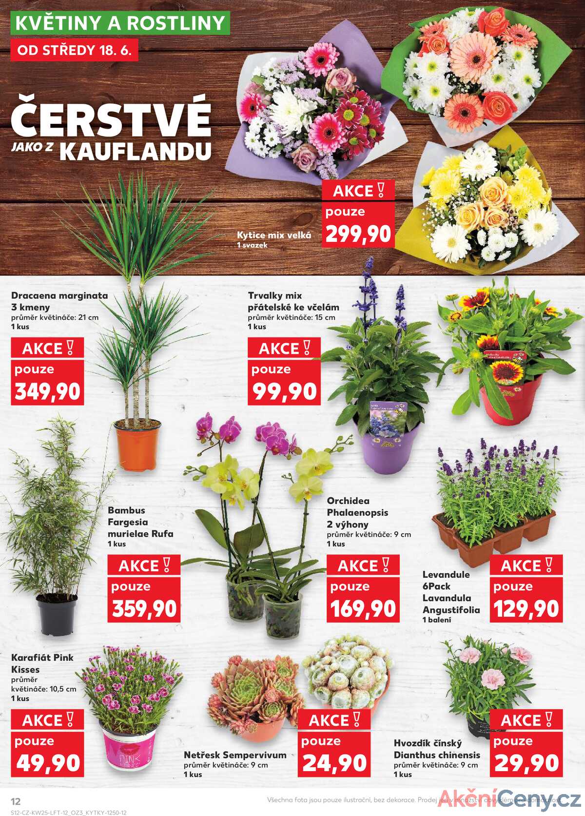 Kaufland 18.6. - 24.6. - Kaufland - Lovosice (Siřejovická) strana 12